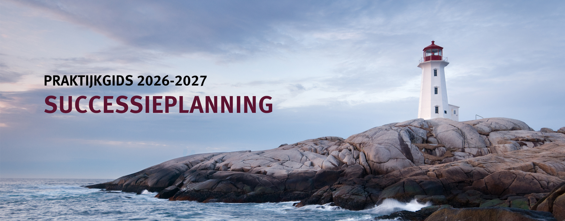 Praktijkgids Successieplanning